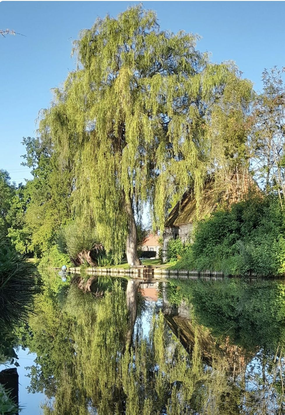 KVVI foto 23